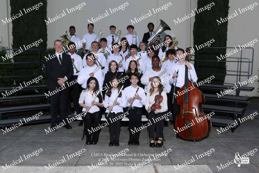 Musical Images